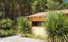 Vacances Ocean Maison Bois Lege Cap Ferret 1-4P